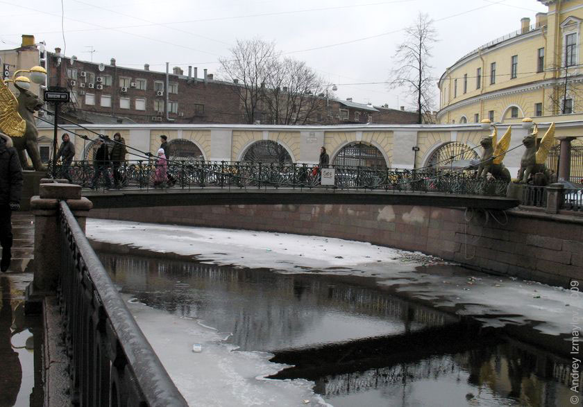 Проталины на канале Грибоедова, мост с грифонами возле университета экономики и финансов. 